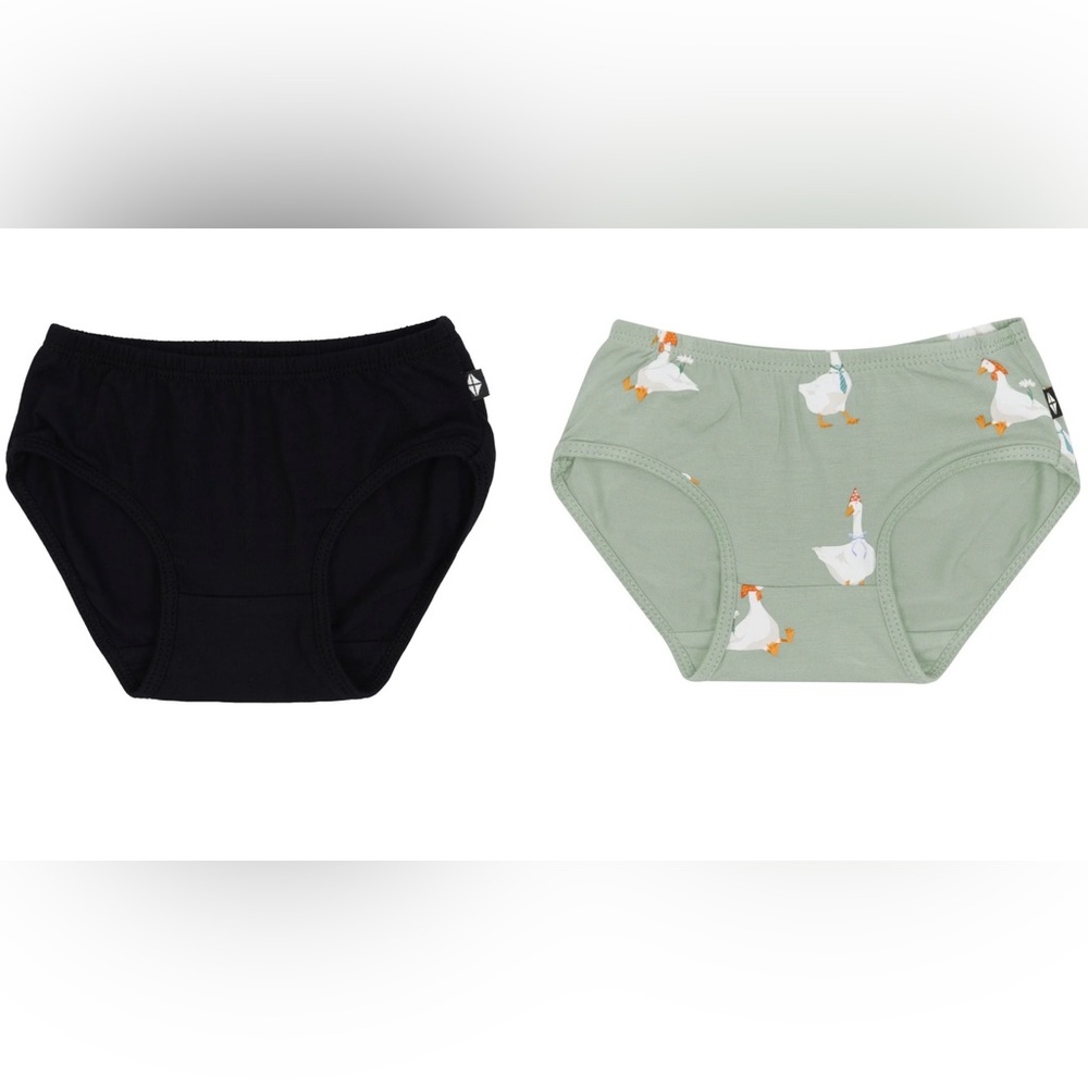 2 pairs of Kyte Baby 2T underwear. NWT
